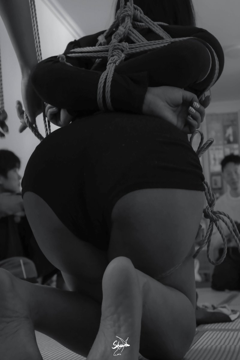 丞烦了 tweet media