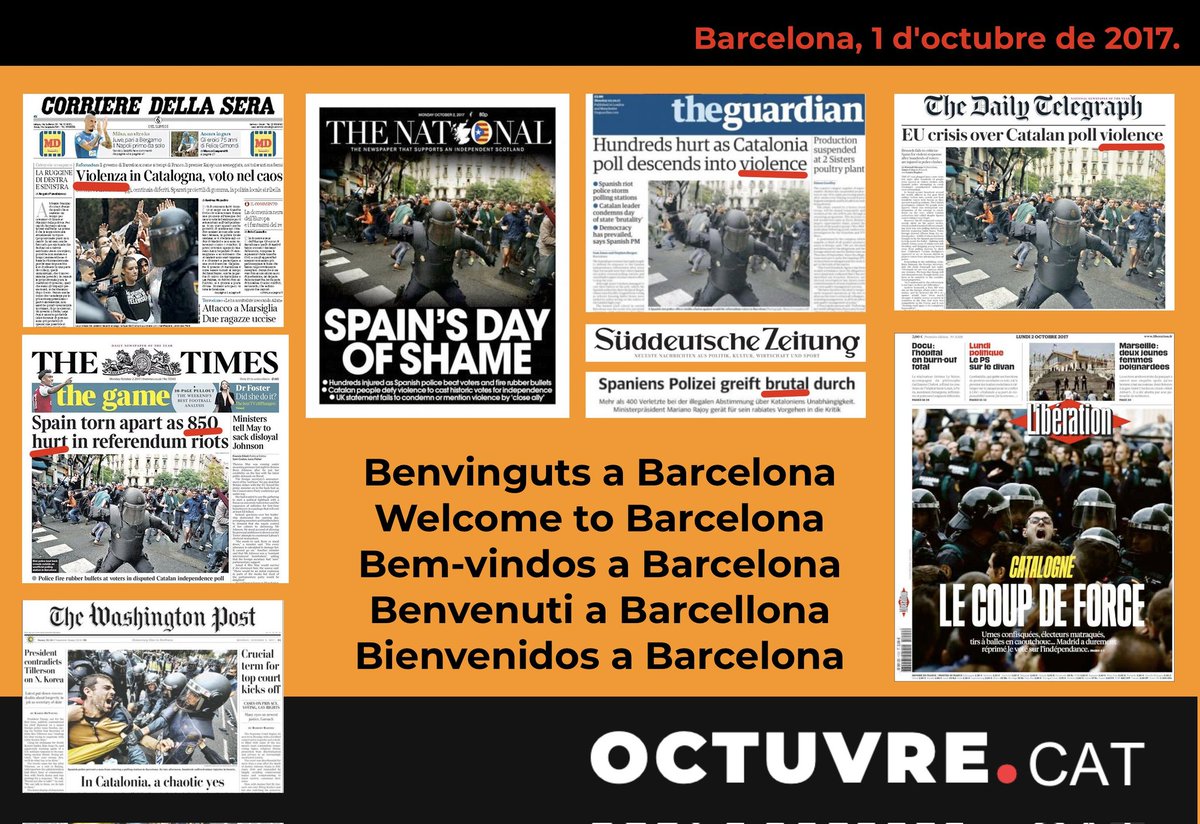 Nomar Redington 🏴‍☠️ 🐾 tweet media