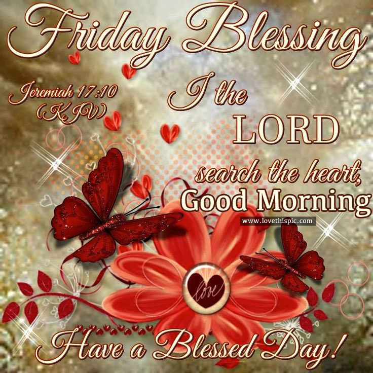 Luz Rivera  🇵🇷 tweet media