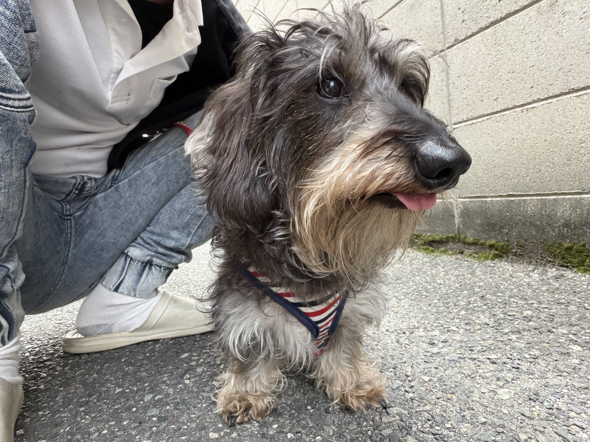 おおつる ⠒̫⃝ tweet media