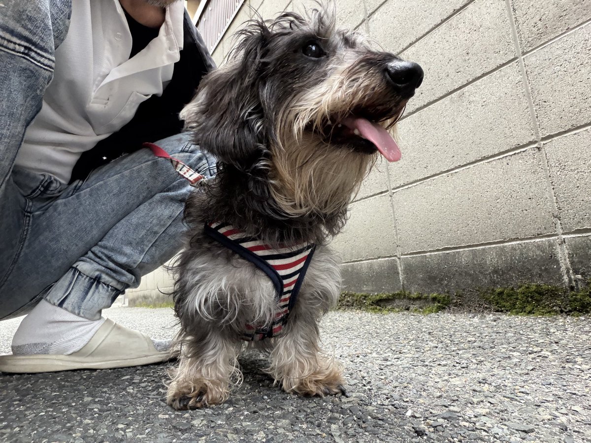 おおつる ⠒̫⃝ tweet media