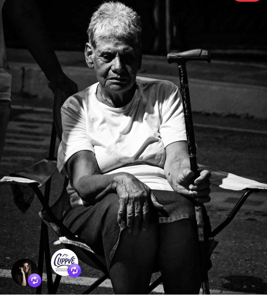 freddyzur tweet media