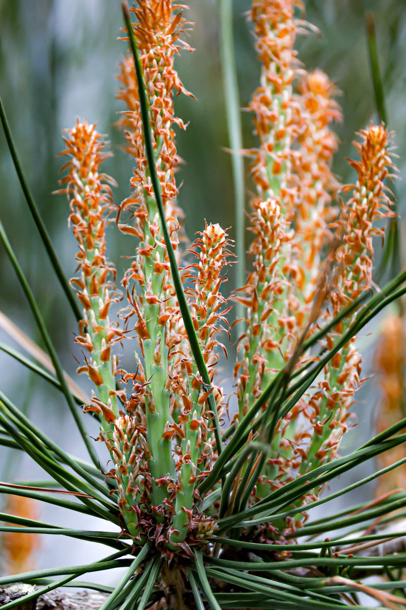 눈물젖은밤 tweet media