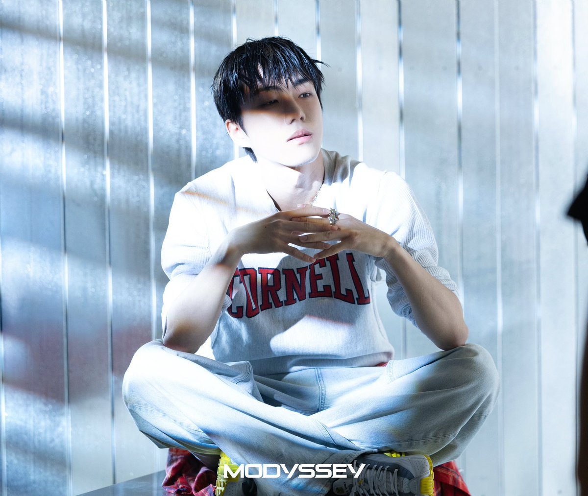 로완 아카이브 tweet media