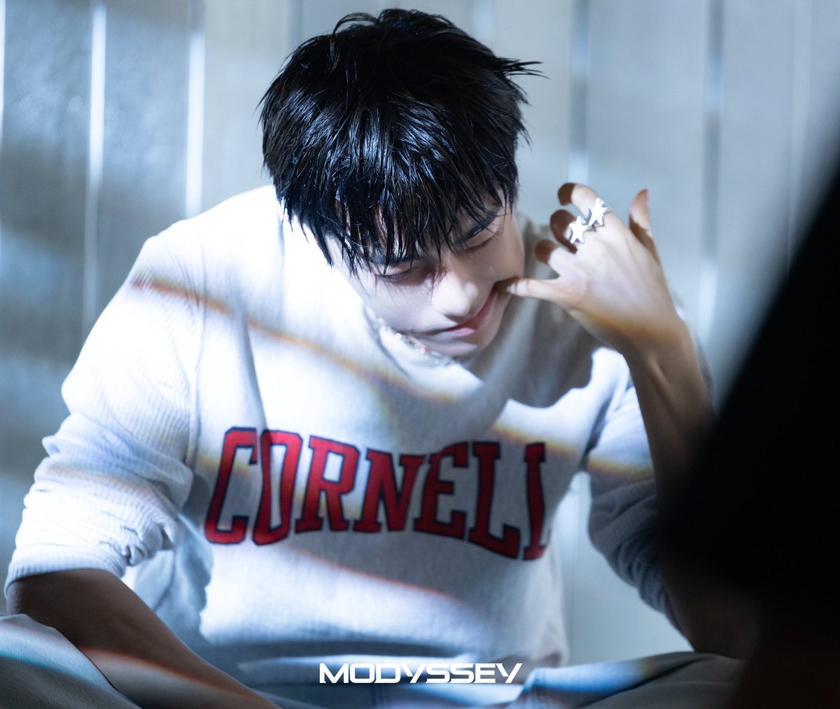 로완 아카이브 tweet media