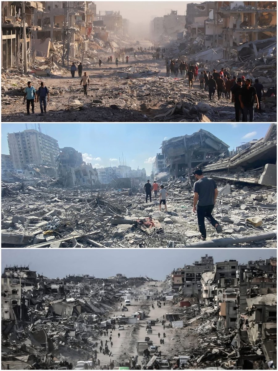 Mohamad Safa tweet media