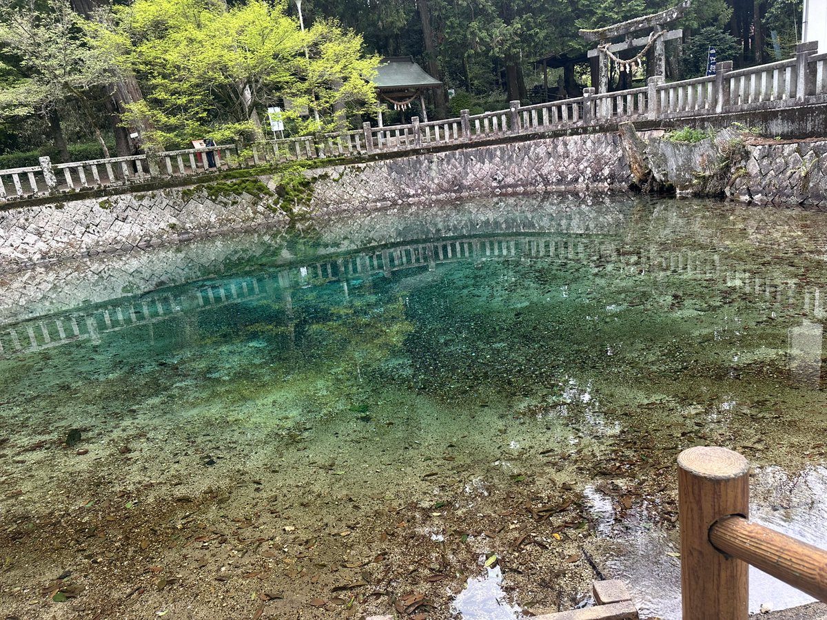 りんこ tweet media