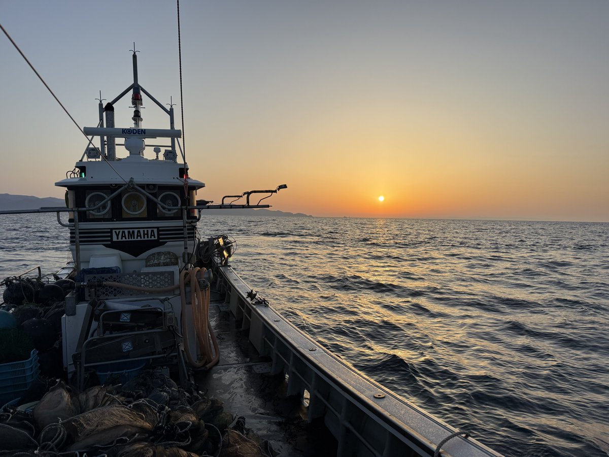 俺のホタテ代表 達也 tweet media