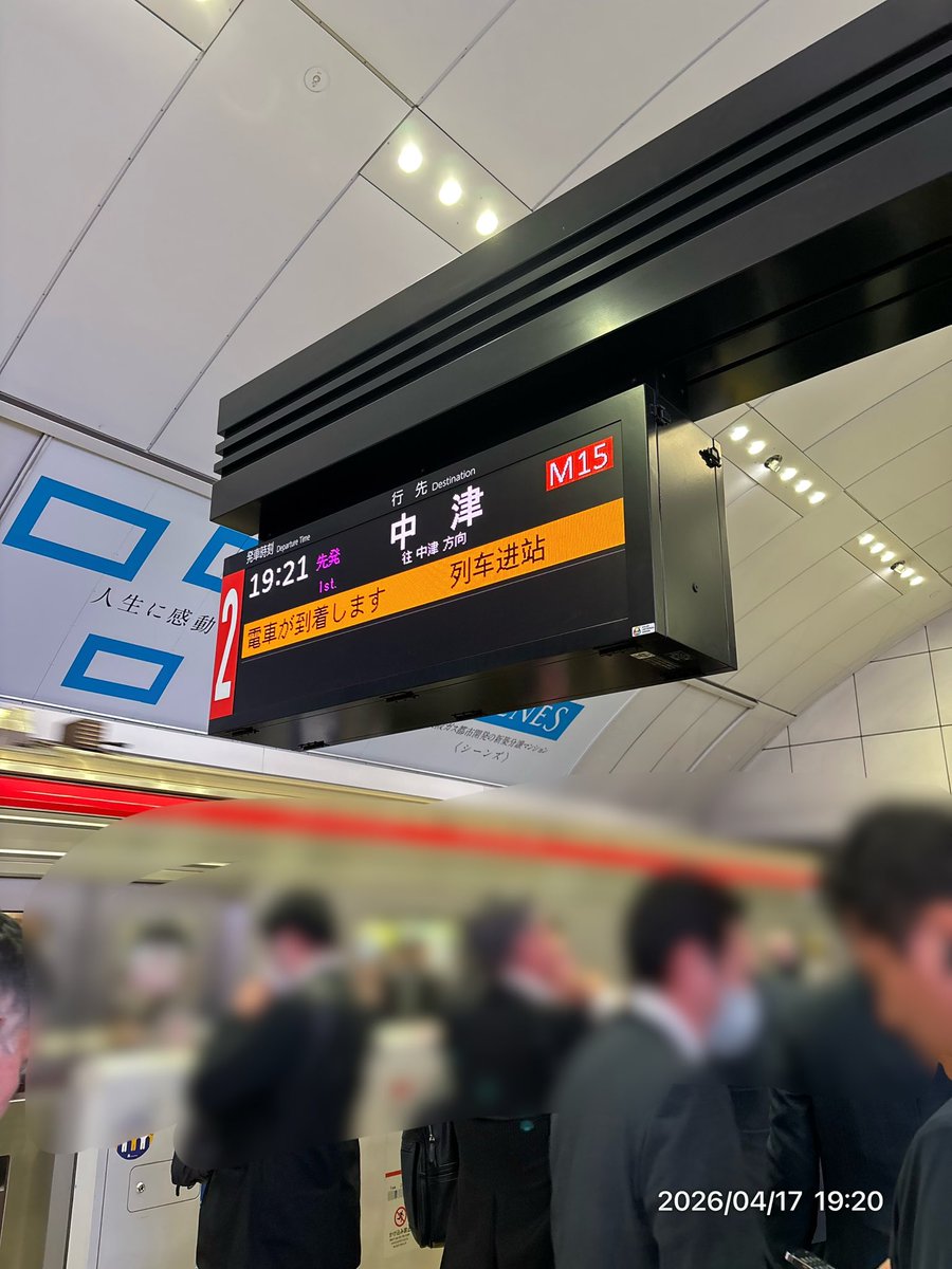 中津=じお=ユキ（3人目） tweet media