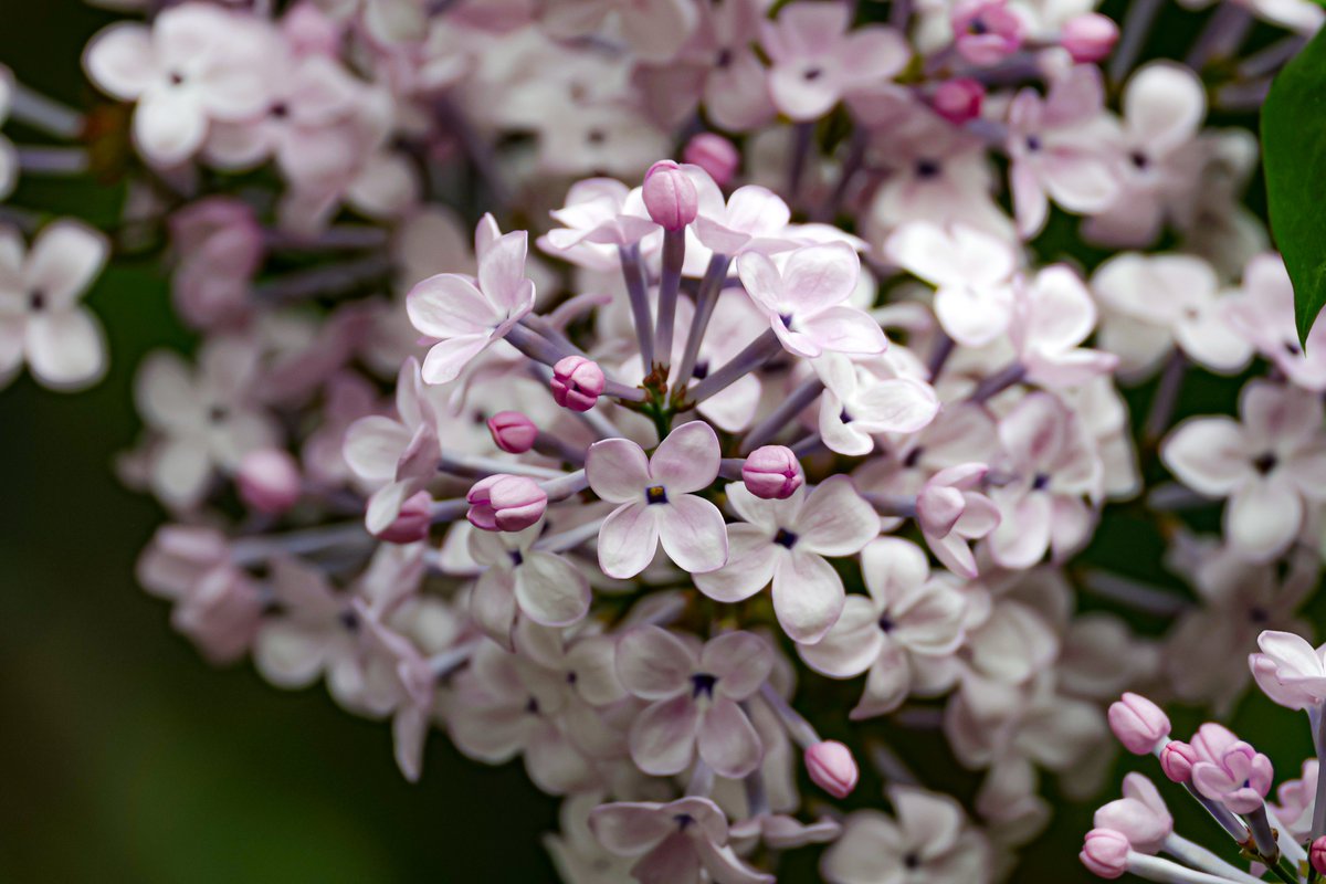 눈물젖은밤 tweet media