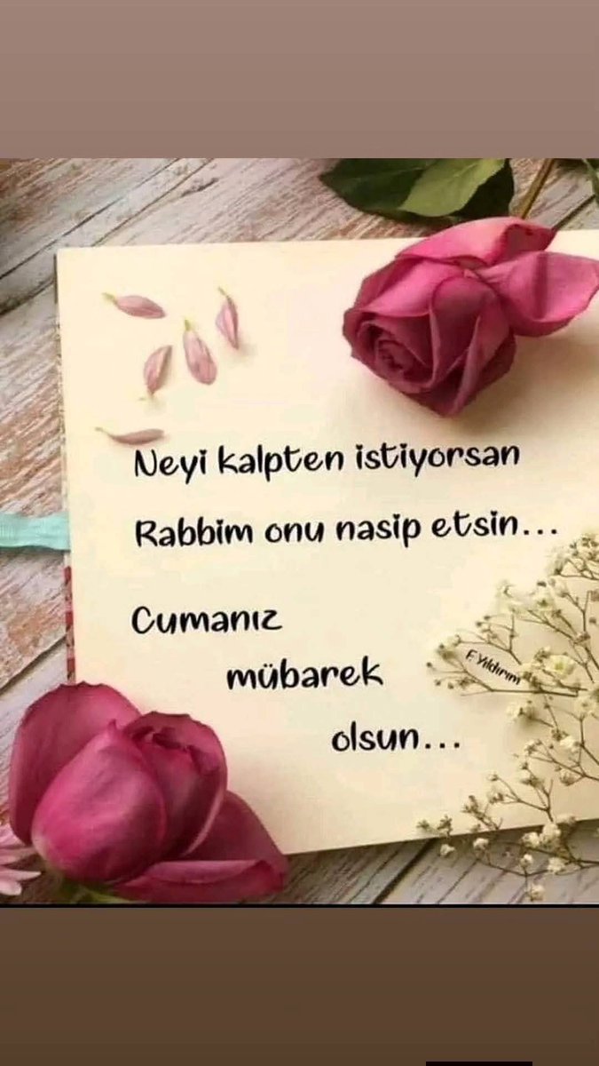 Taylan Özgüç tweet media