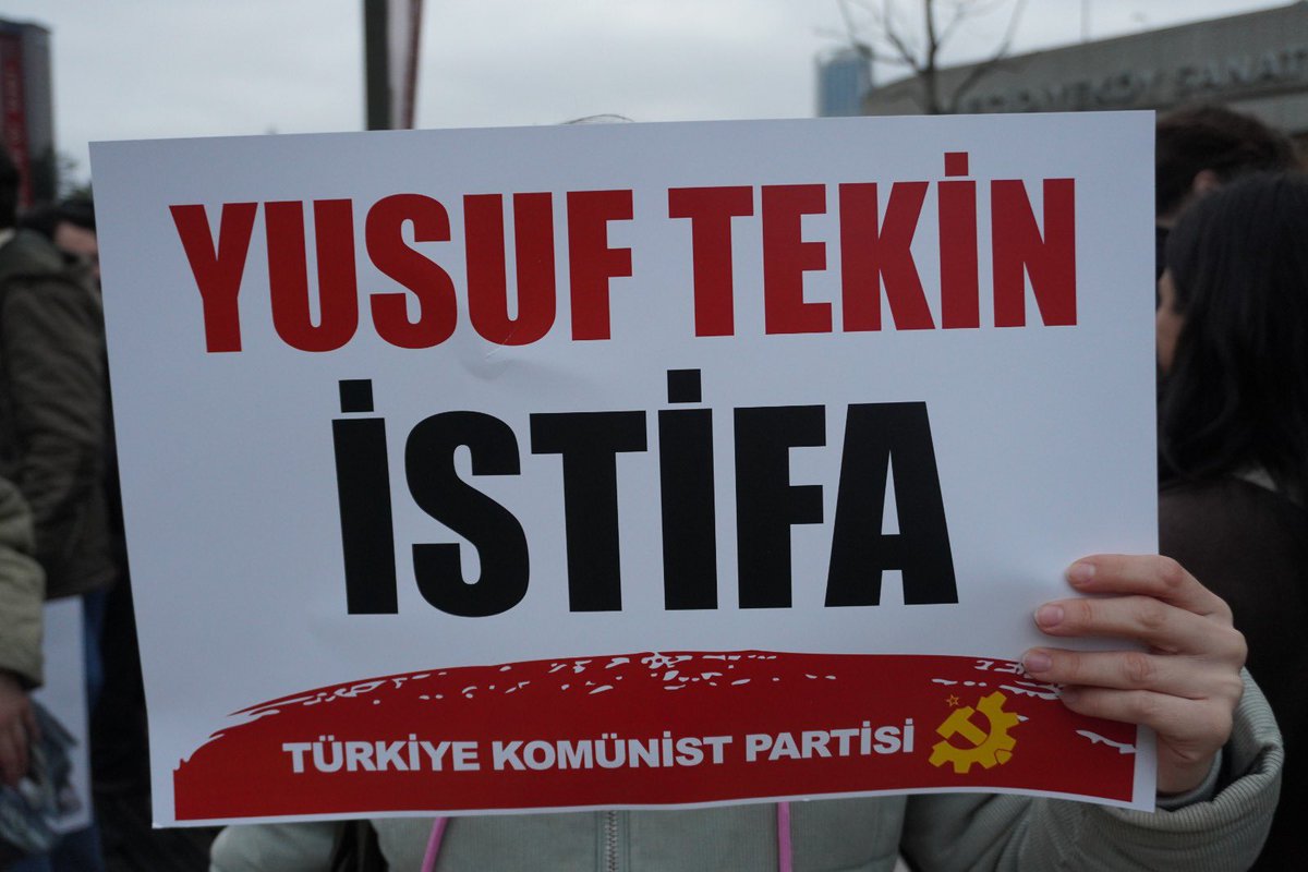 şüheda tweet media