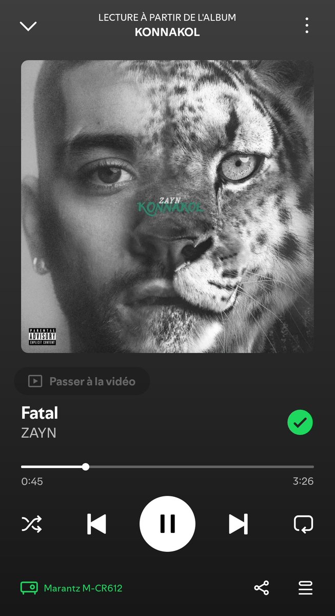 pepe (Dua's version)🌊🪩 tweet media