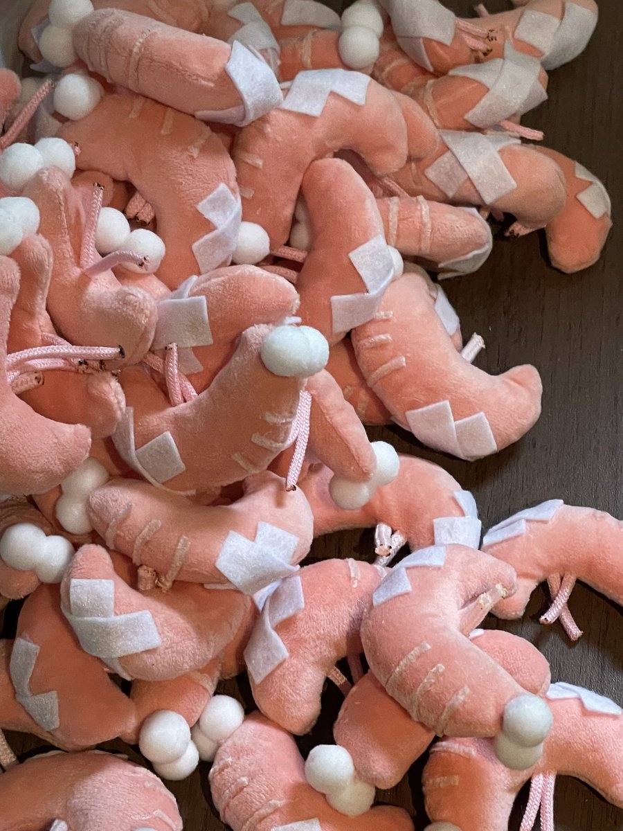 みんな腰が痛くなっちゃった……😭🦐笑