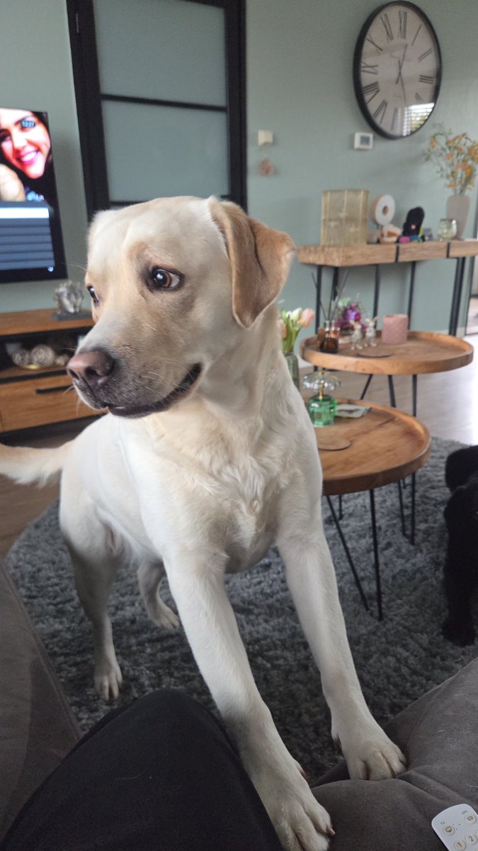 Jacqueline Jansen tweet media