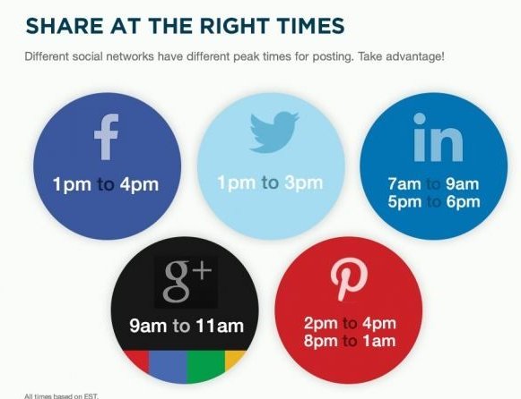 MediaMuni tweet media