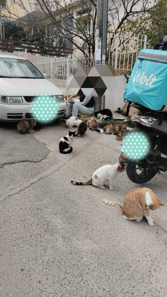 Fay Pan 🐾🐾🐾🐾🐾🐾 tweet media