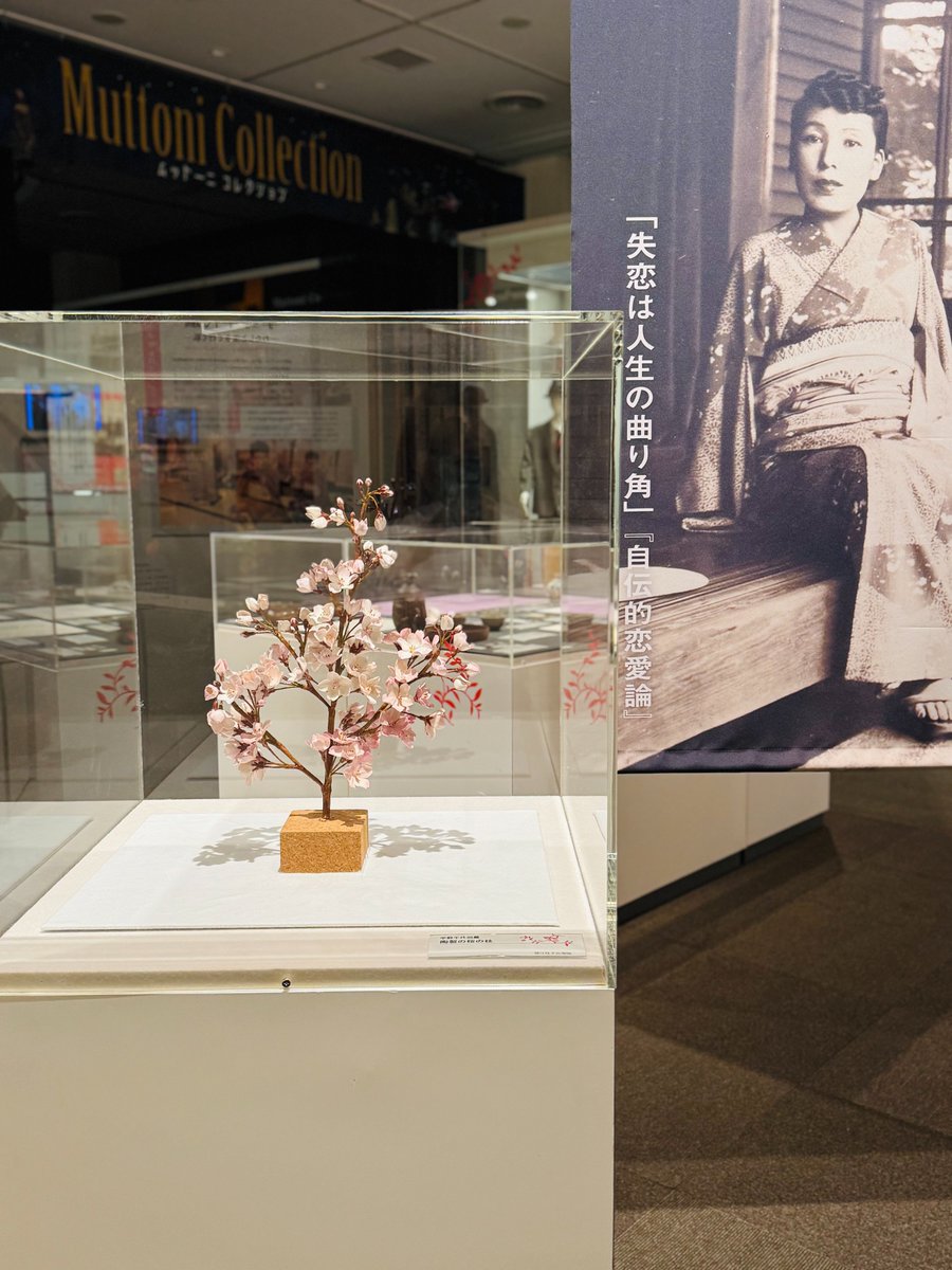 世田谷文学館　Setagaya Literary Museum tweet media