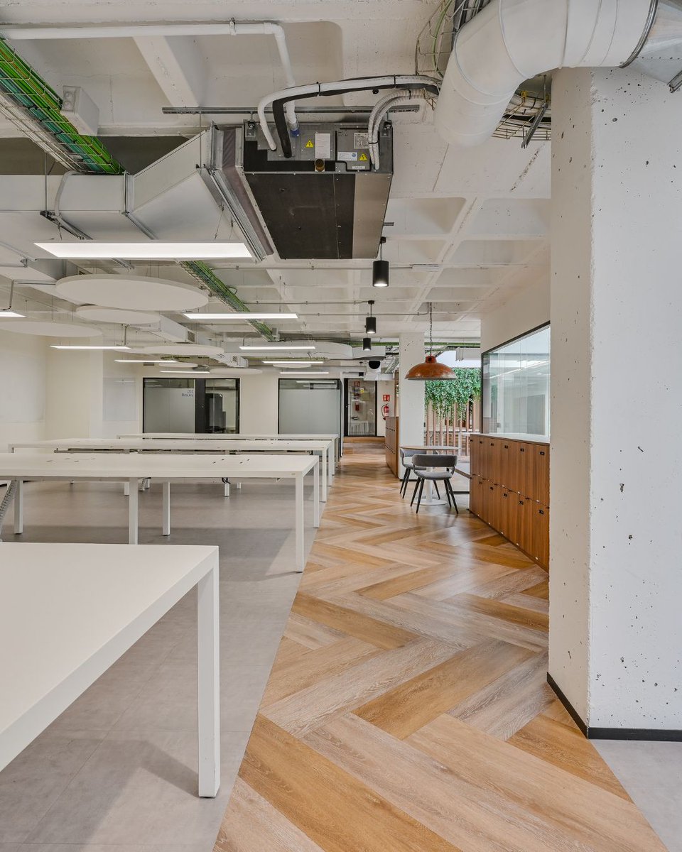 GroupNN's tweet photo. Folgueroles 17-25, es sinónimo de amplitud, luz y versatilidad. ✨

Un edificio corporativo en Sant Gervasi que ofrece hasta 2.878 m² de oficinas distribuidos en tres plantas conectadas, con espacios diáfanos y completamente adaptables a las necesidades de cada empresa. https://t.co/NOxCjVX2C0