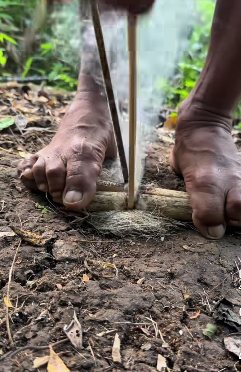 शब्द tweet media