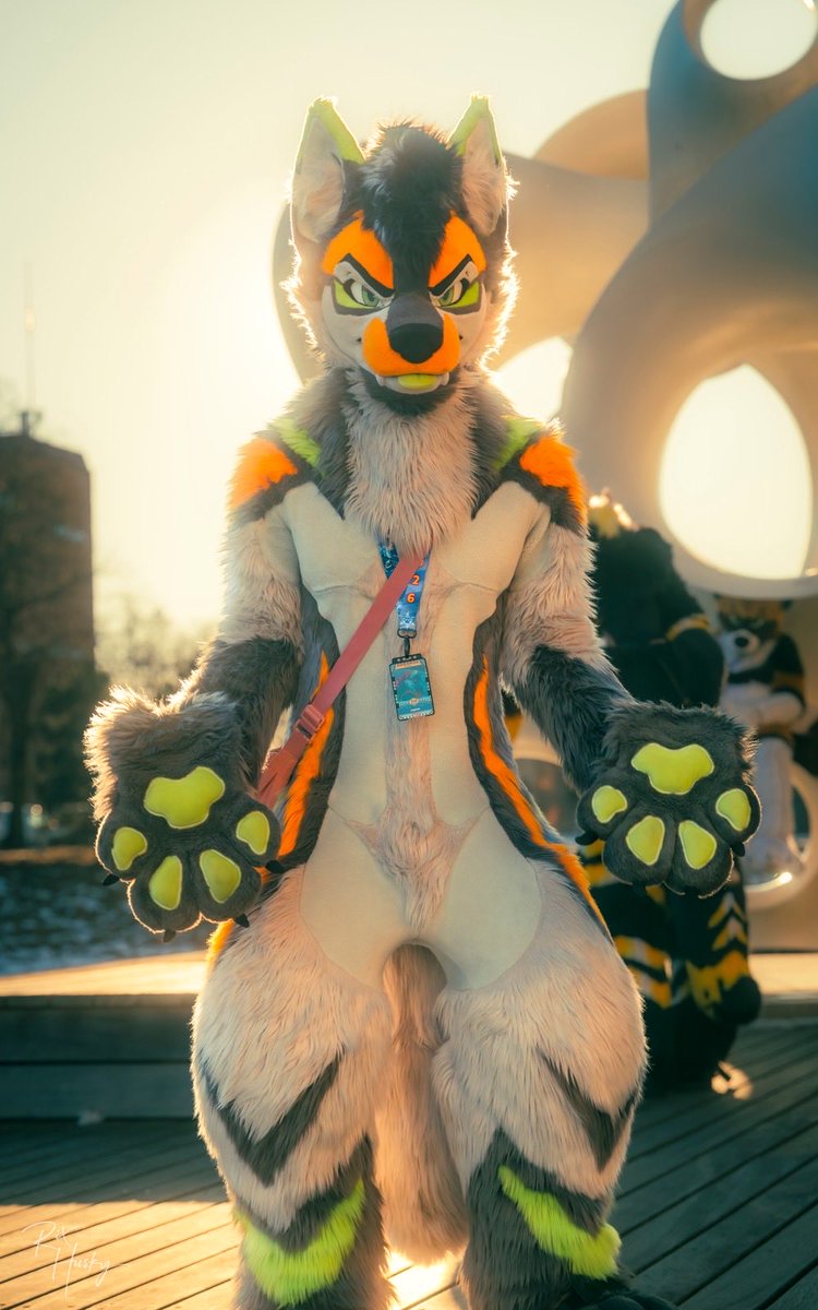 Lepton 🐺 (LOCKED IN ‼️) tweet media