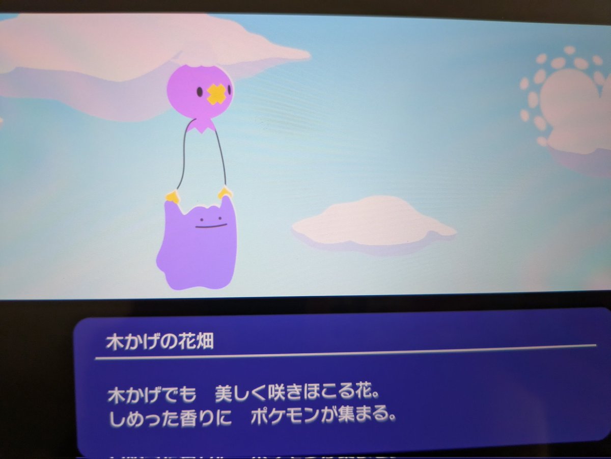 三鳥はポケGOはまってる tweet media
