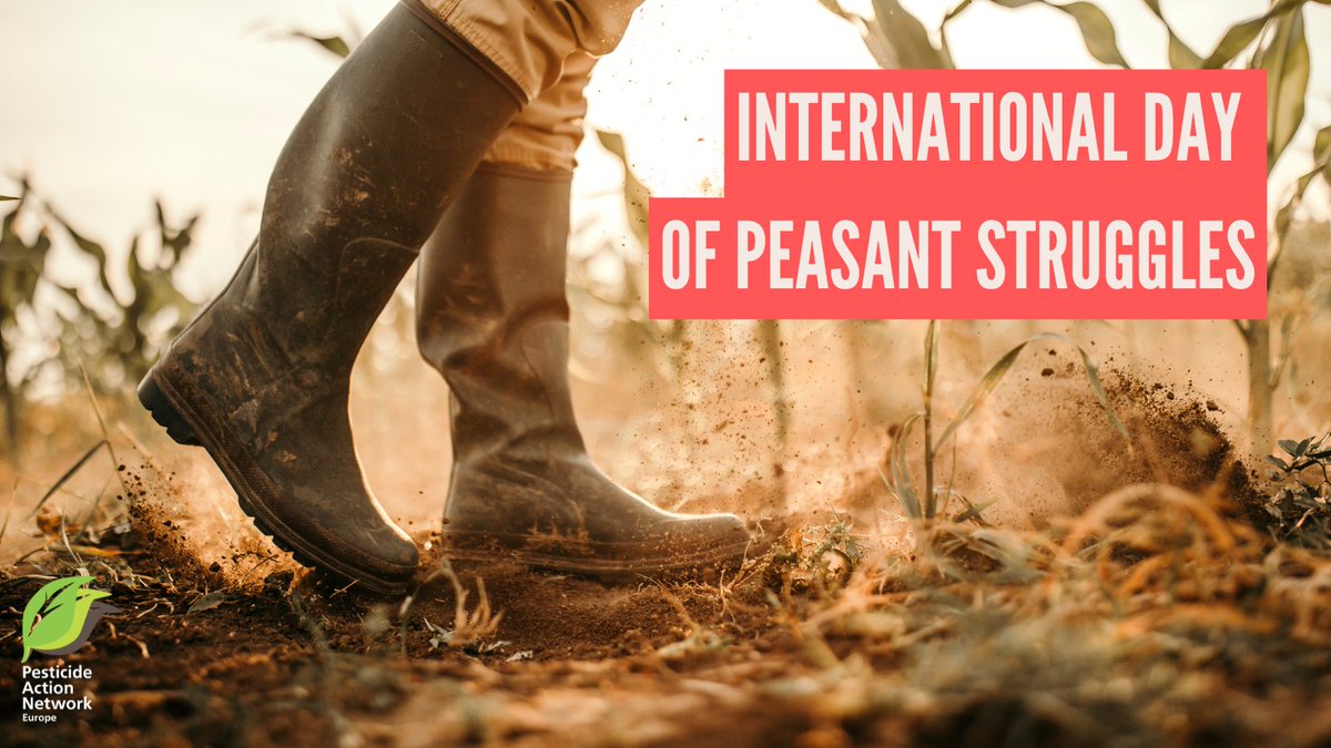 EuropePAN's tweet photo. 🧑🌾🌾🚜 All over the world, peasants produce our food. From the soil to the fork. On this day of peasant struggles, we ask for a #pesticide-free agriculture. Farmers’ health needs to be prioritised.
#PeasantStruggles #17April https://t.co/L7e5hqtD4B