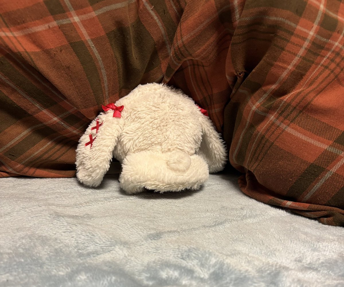 ❆あり❆@ブルロ垢 tweet media