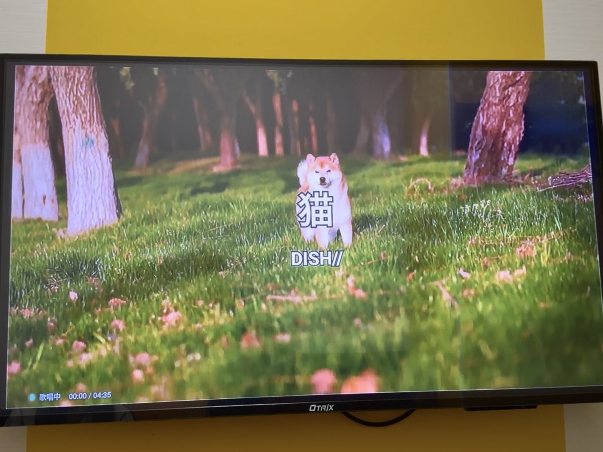 宮川大聖 / みやかわくん tweet media