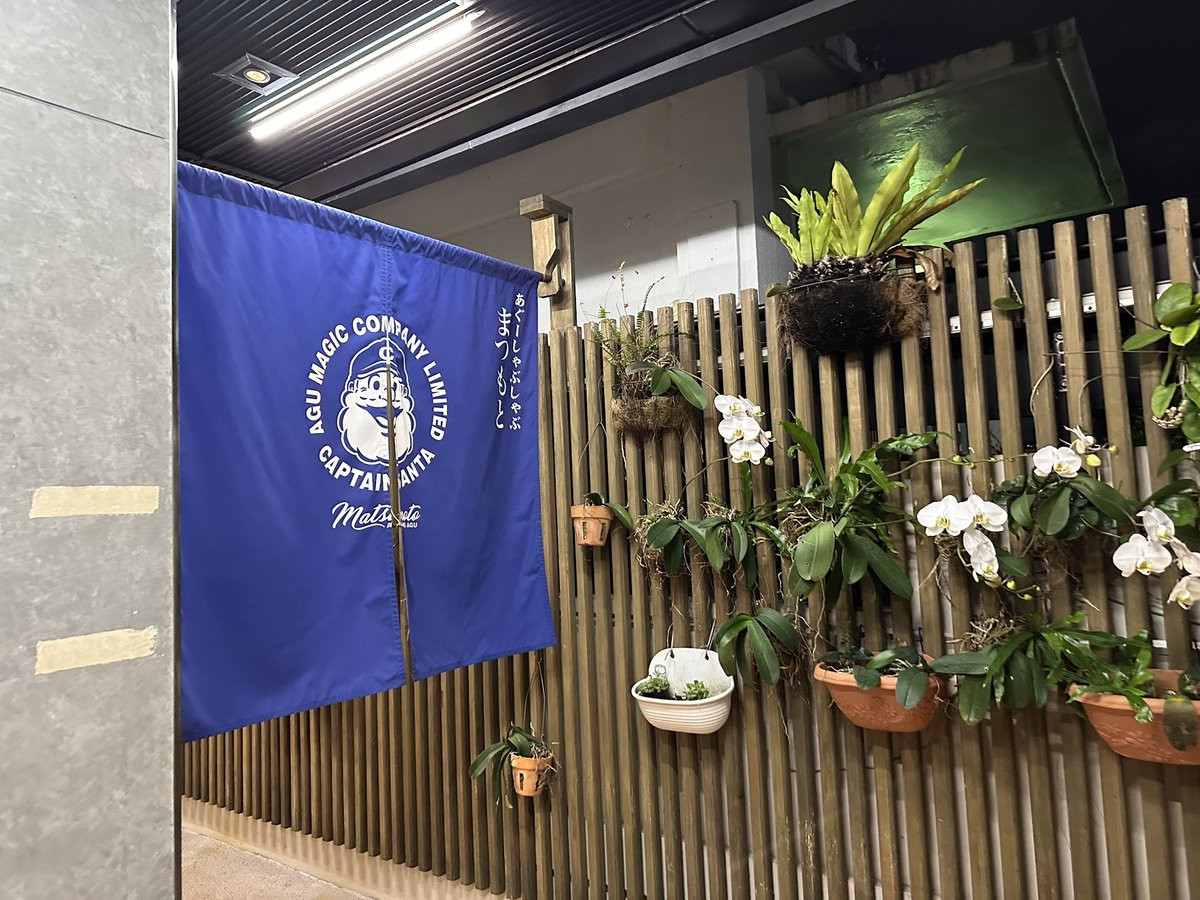 ケイちゃん tweet media