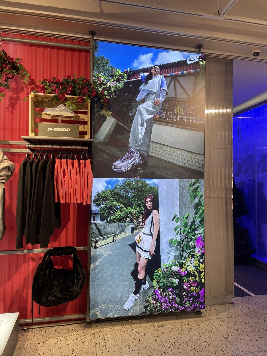 fansey 🌸🎡 tweet media