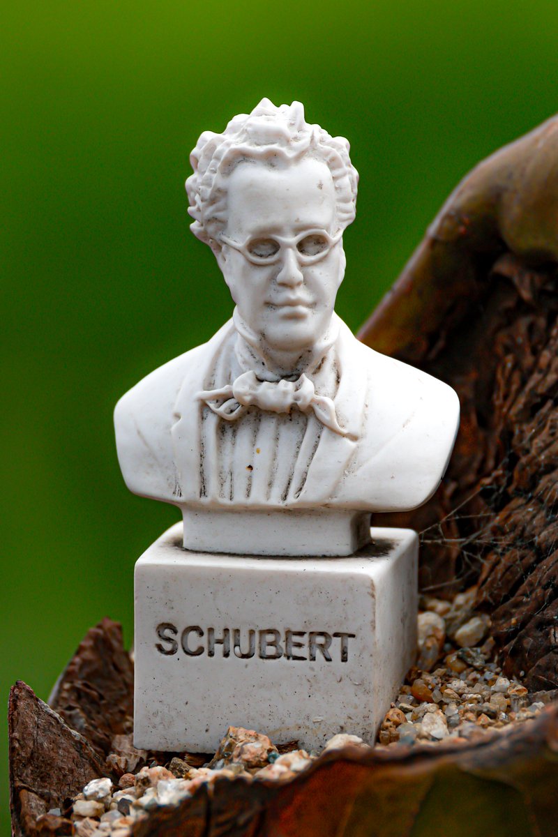 눈물젖은밤 tweet media