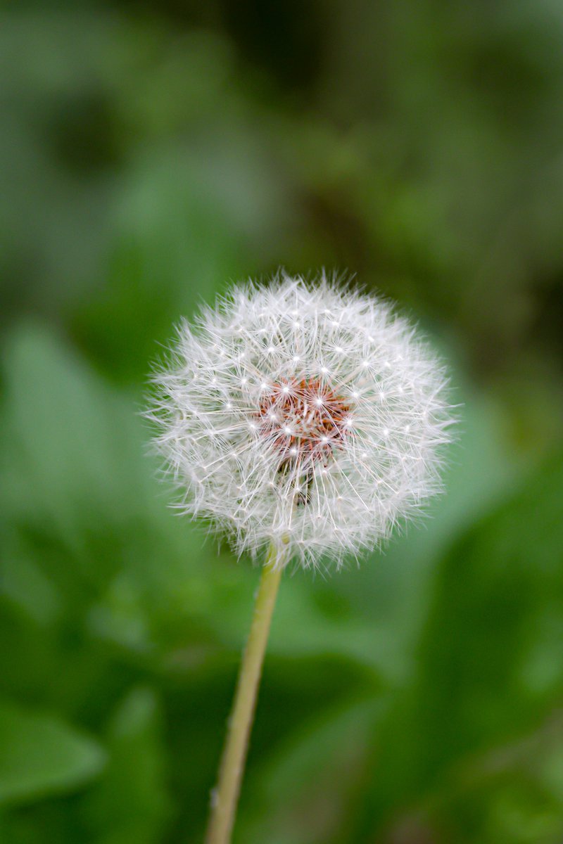 눈물젖은밤 tweet media