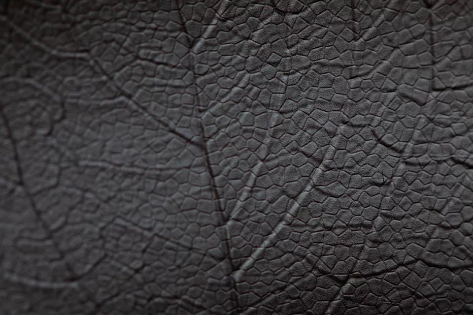 mqtooling's tweet photo. Unlock next-level surface texturing in NZ! 

🚀 CHARMILLES LASER S 1000 U: 5-axis, dual laser, high-speed 3D scanning. 

Perfect for medical, aerospace &amp; ICT. 

See more: https://t.co/mwXbF4NBsA 

Enquire: https://t.co/eDBdy5709R 

#lasertexture #micromachining https://t.co/pxRUEvMYD3