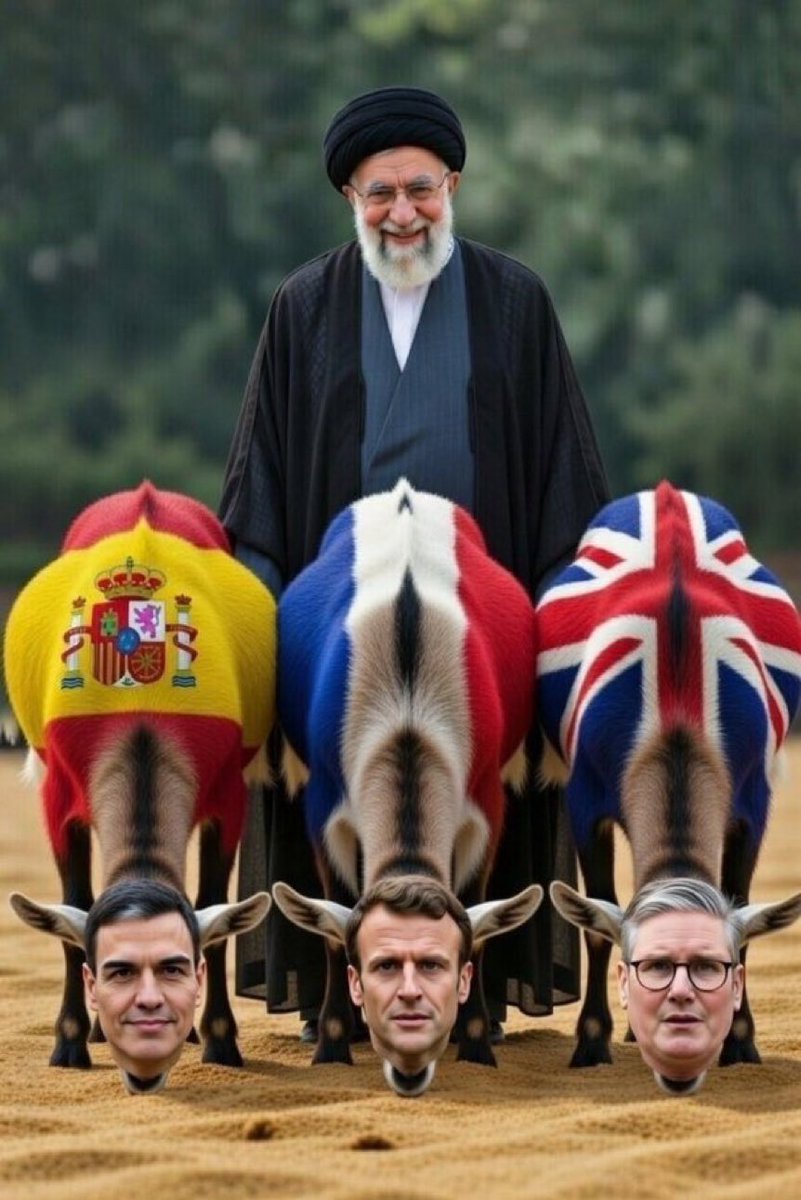 Liza Rosen tweet media