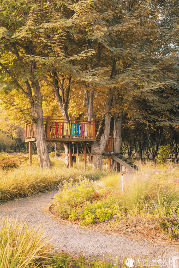 Diana Tiari tweet media