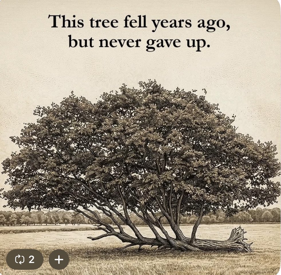 Steve Jacobson tweet media