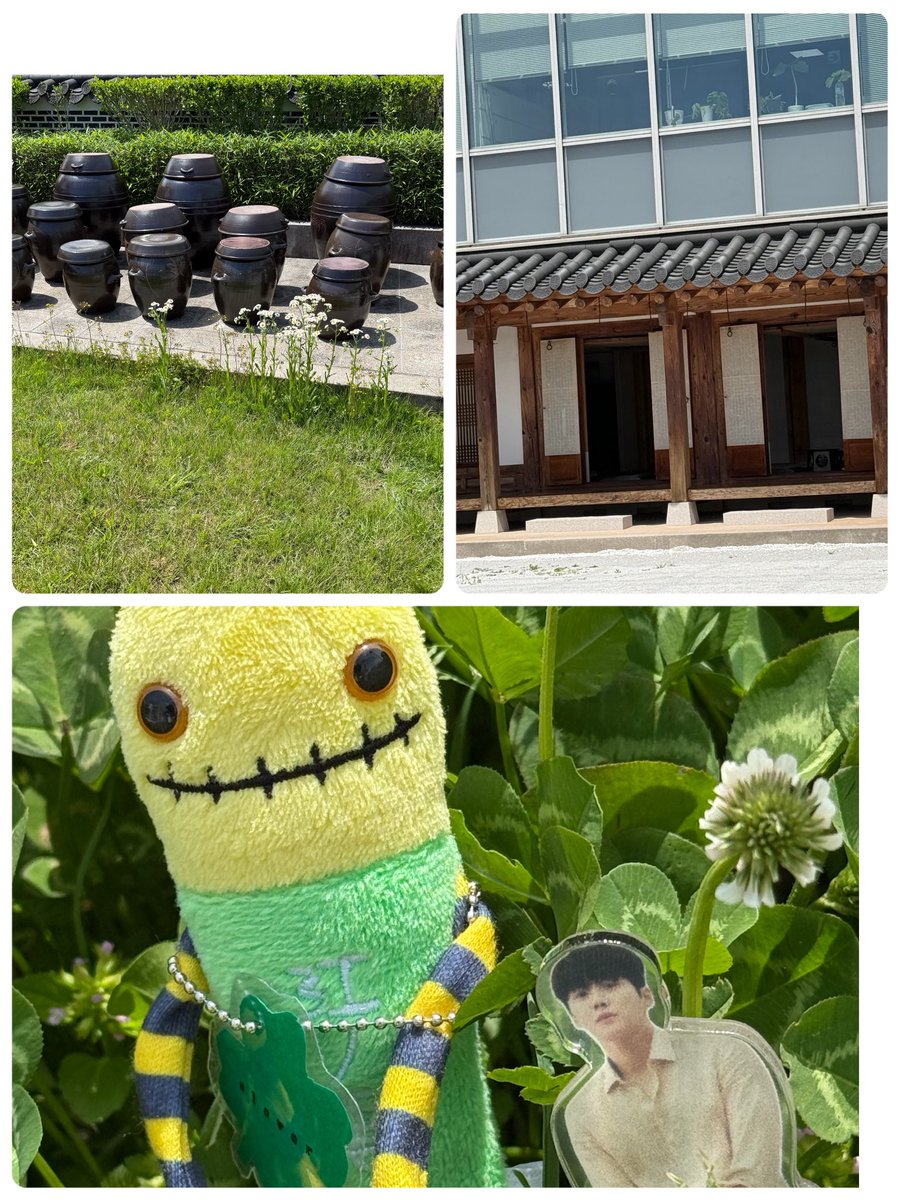 clover03151118's tweet photo. ポカポカ天気で、ハヌル庭園に行って来ました。
クローバーが、あったけど🍀は見つからなかった！ https://t.co/AYRZsw7uhl