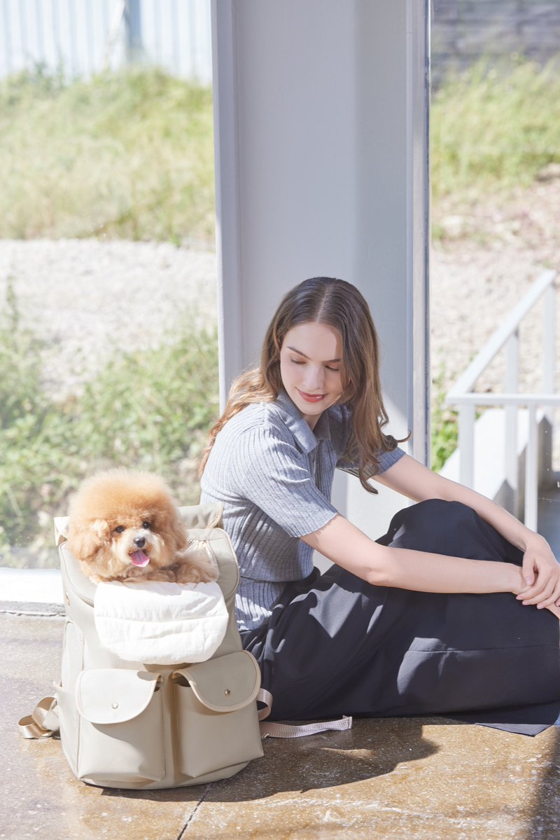 PETTENA（ペテナ） tweet media