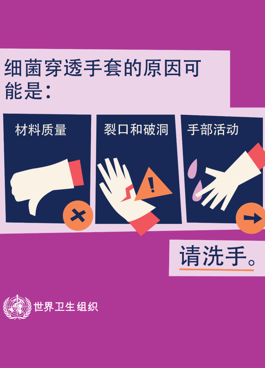 Sofia Agüero Kalthum tweet media