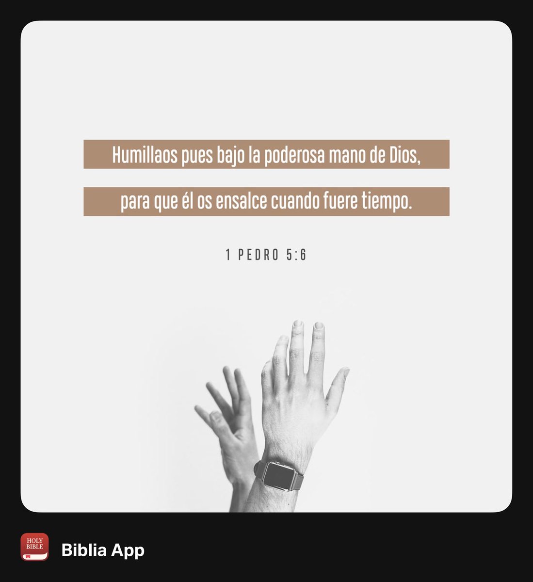 Gamaliel Flórez (@gamalielflrez) on Twitter photo 