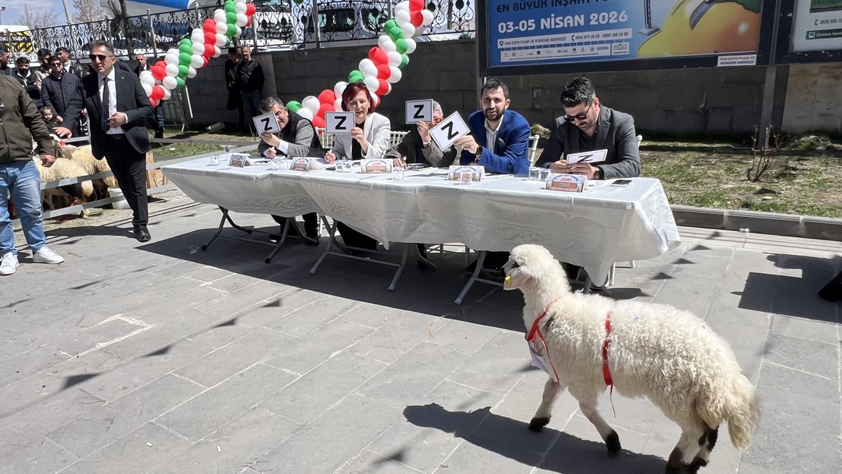 Bu yıl ilimizde 16’ncısı düzenlenen Tarım, Hayvancılık ve Gıda Fuarı kapsamında gerçekleştirilen “En Güzel Kuzu” yarışmasında, 13 ilçeden getirilen kuzular jüri tarafından titizlikle değerlendirildi. Birinciye 15.000 ₺ ödül verildi.
<a href="/ibrahimyumakli/">İbrahim Yumaklı</a> <a href="/tcvanvaliligi/">T.C. Van Valiliği 🇹🇷</a> <a href="/trgyssmn/">Turgay ŞİŞMAN</a>