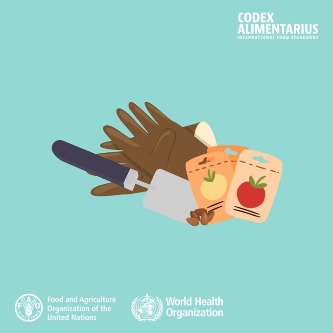 FAOWHOCodex's tweet image. 📘 | Everyone can contribute to making food safe❗️

👉 If you are growing fruits and vegetables adopt the "@WHO Five Keys to Growing Safer Fruits and Vegetables" to decrease microbial contamination. 

➕ℹ️➡️ bit.ly/2ZUCzRc 

👨‍🌾🍎🍋🥑🍅🥬🌽👩‍🌾

#FoodSafety