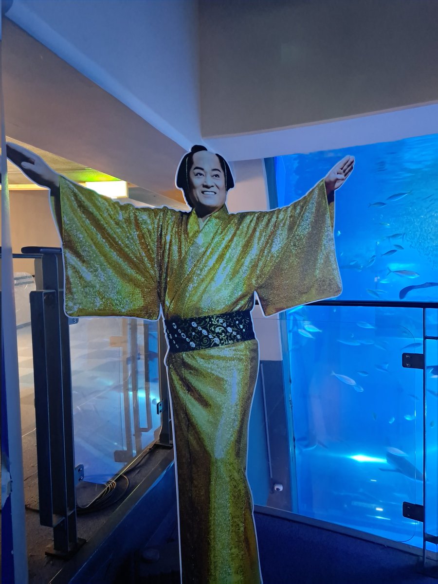 悪いの tweet media