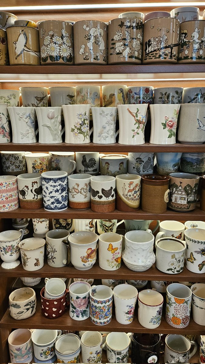 Boshaa AL.Mutairi tweet media