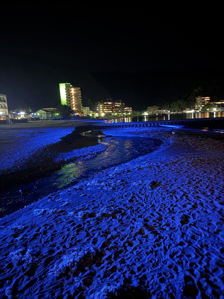 シャケアマゾン tweet media