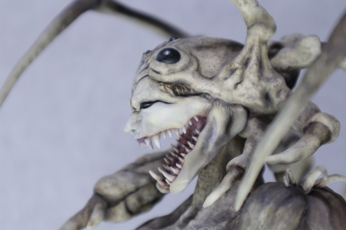 ハヤタ【6/6〜6/7 TFO23】 tweet media