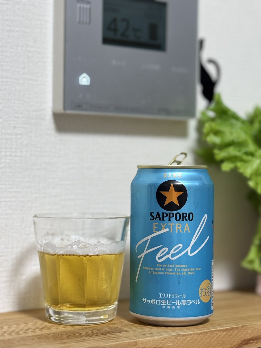 アマンダ 誤字脱字絶好調 tweet media