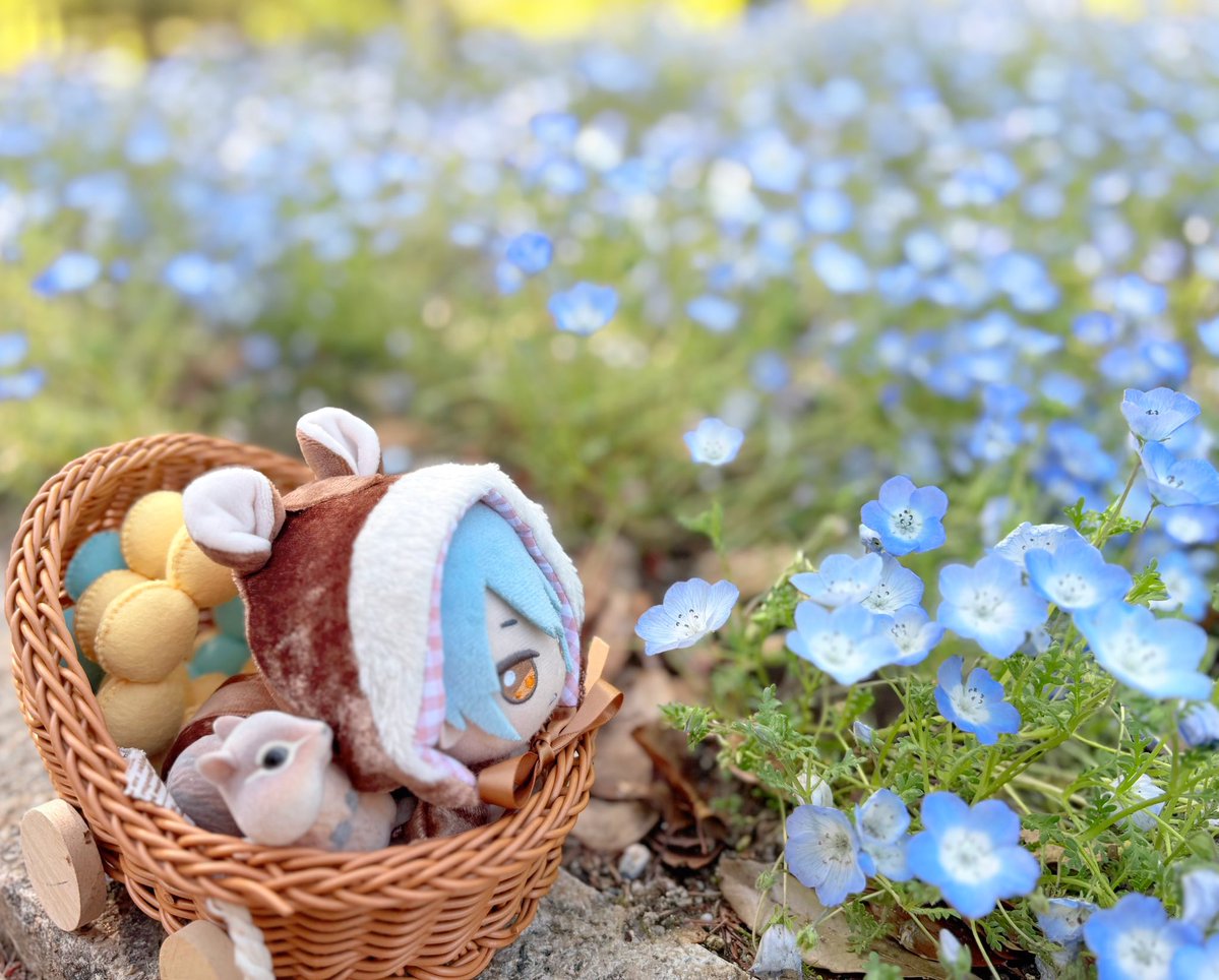 #まほやく_ぬい 
#金曜ぬいnight