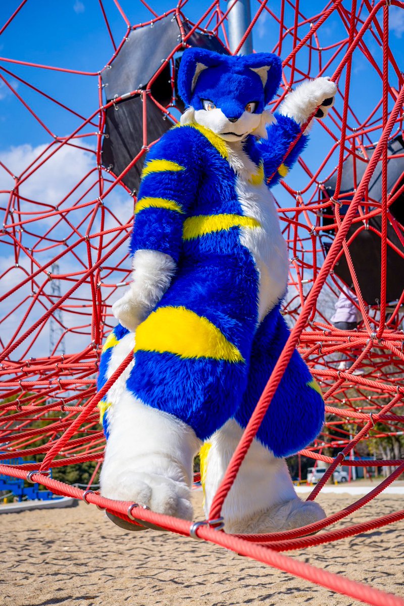 獣狼つっちー tweet media